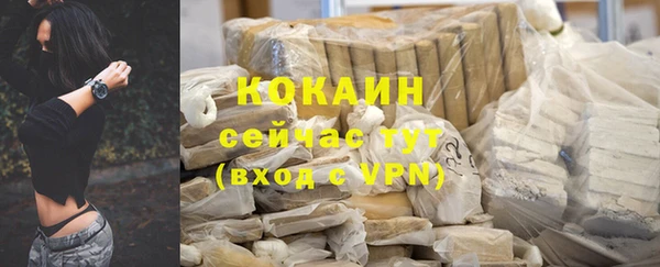 соль ск Белокуриха