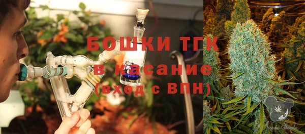соль ск Белокуриха